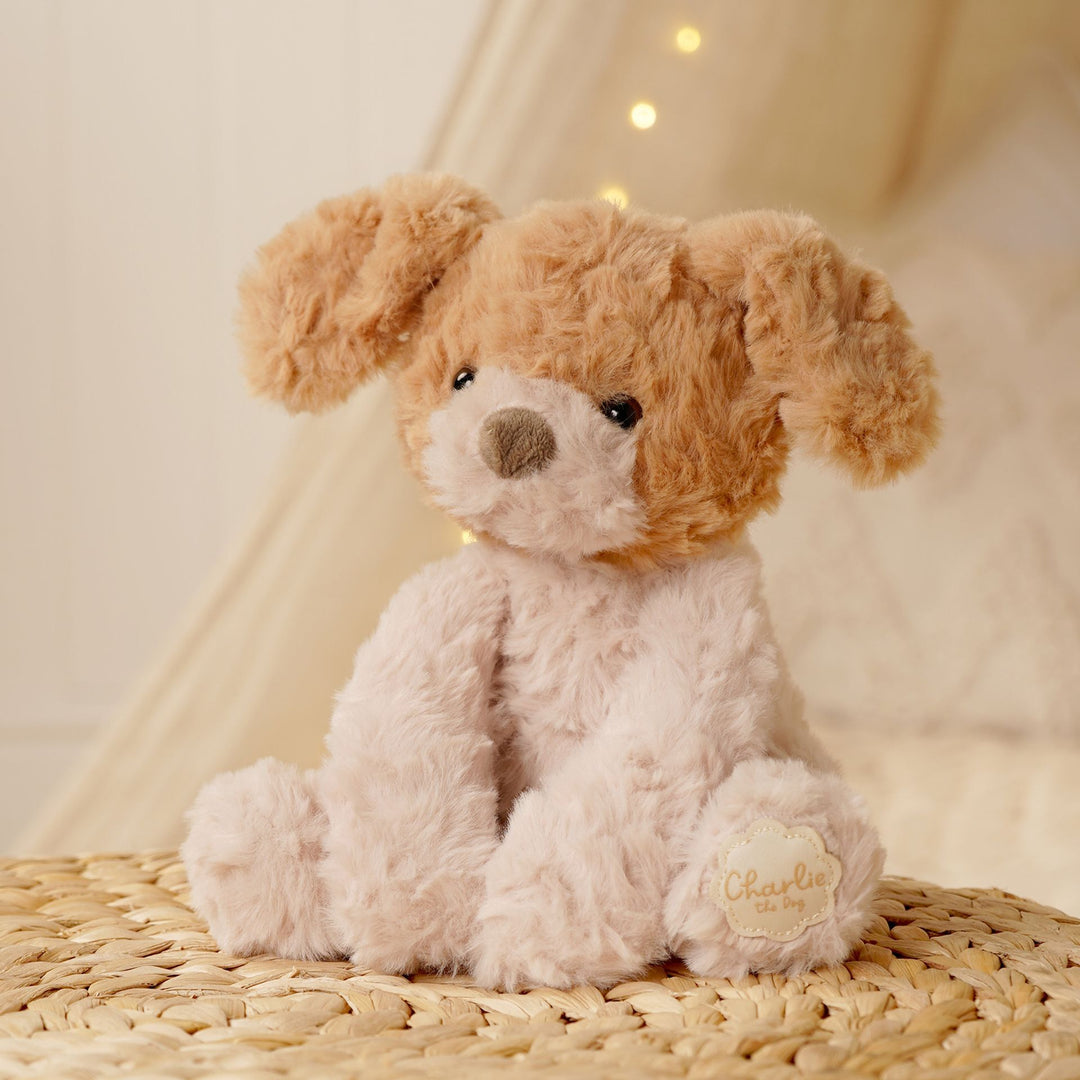 Softies Cuddly Toy - Plush Dog - Charlie - Mabel & Fox