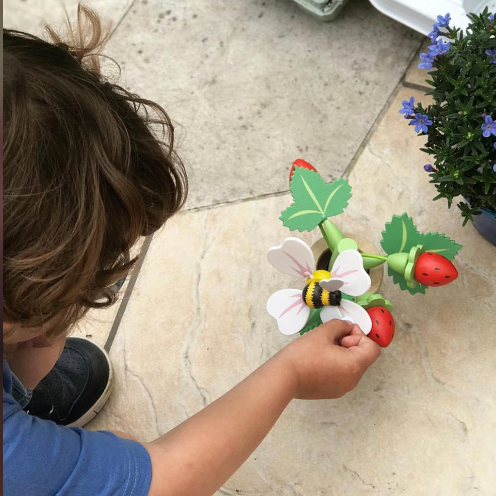 Tender Leaf - Strawberry Flower Pot - Mabel & Fox