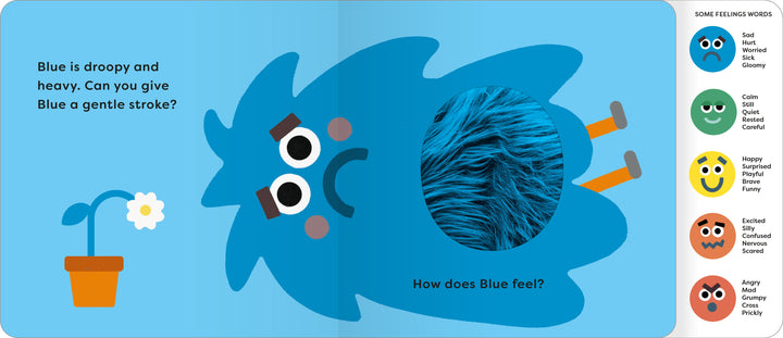 The Feelings Book - Touch & Feel Emotions - Mabel & Fox