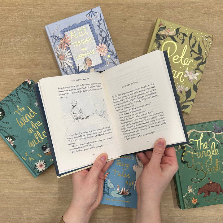 The Little Prince (Collector’s Edition) - Mabel & Fox