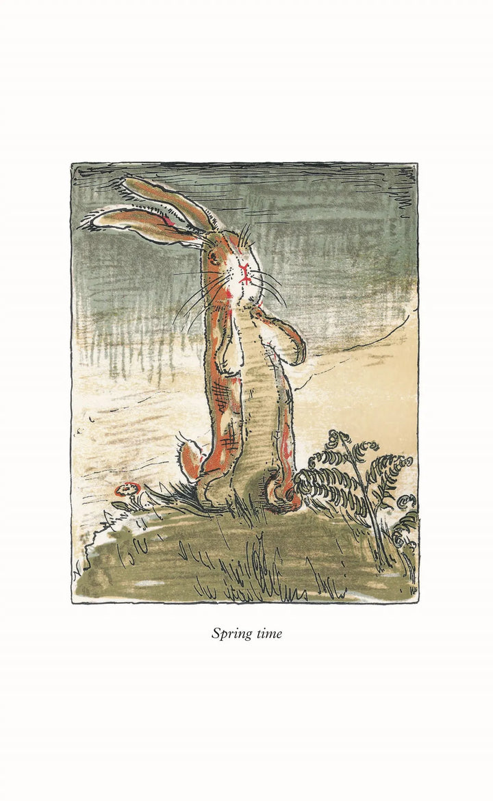 The Velveteen Rabbit & Other Classic Children's Stories - Mabel & Fox