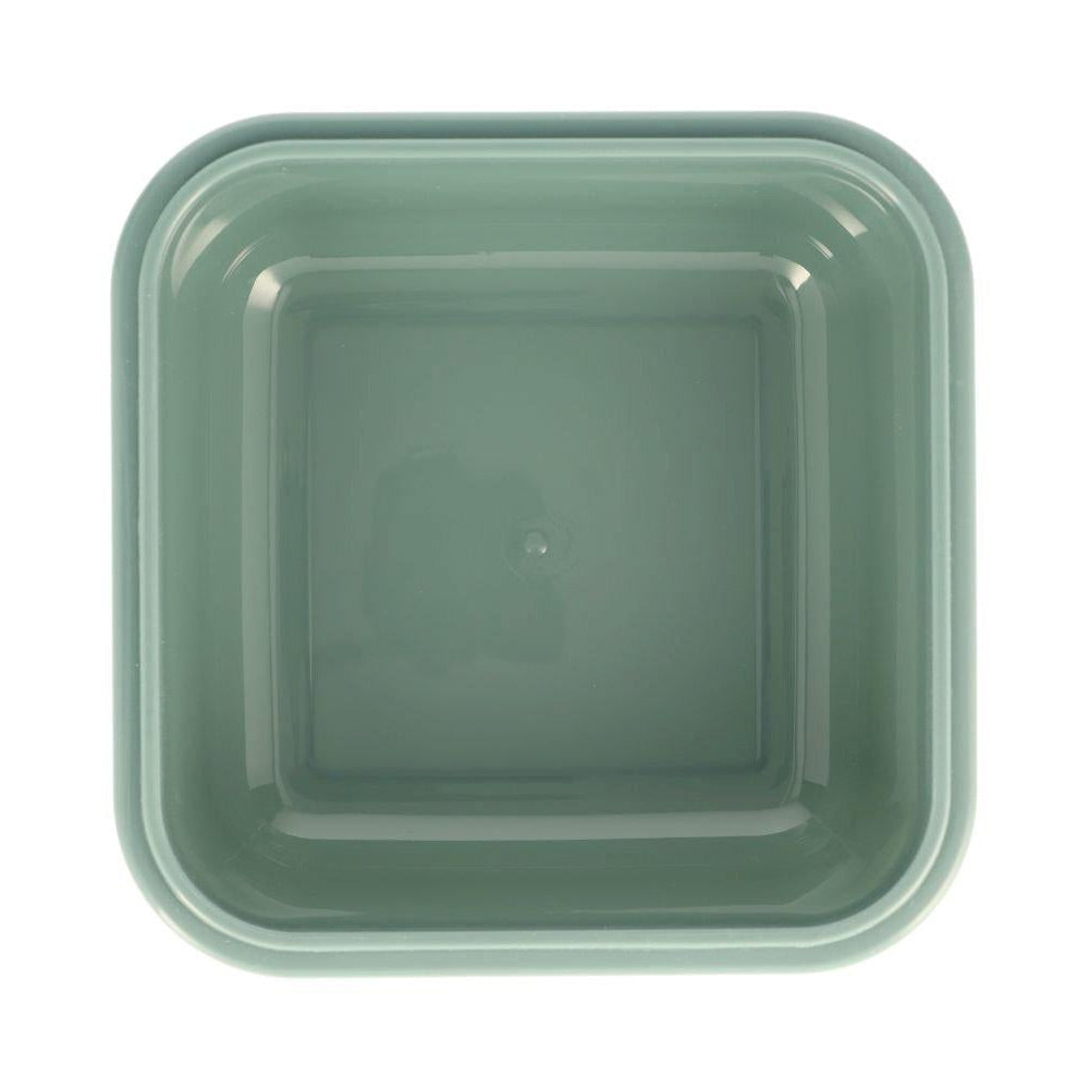 Tutete - Large Lunch Box - Dino World - Mabel & Fox