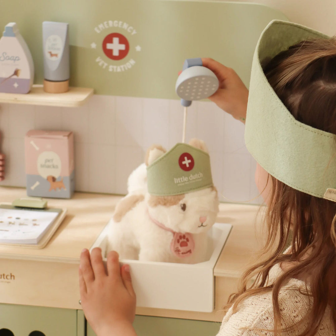 Little Dutch - Veterinary Practice