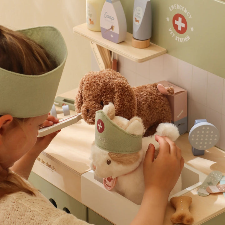 Little Dutch - Veterinary Practice