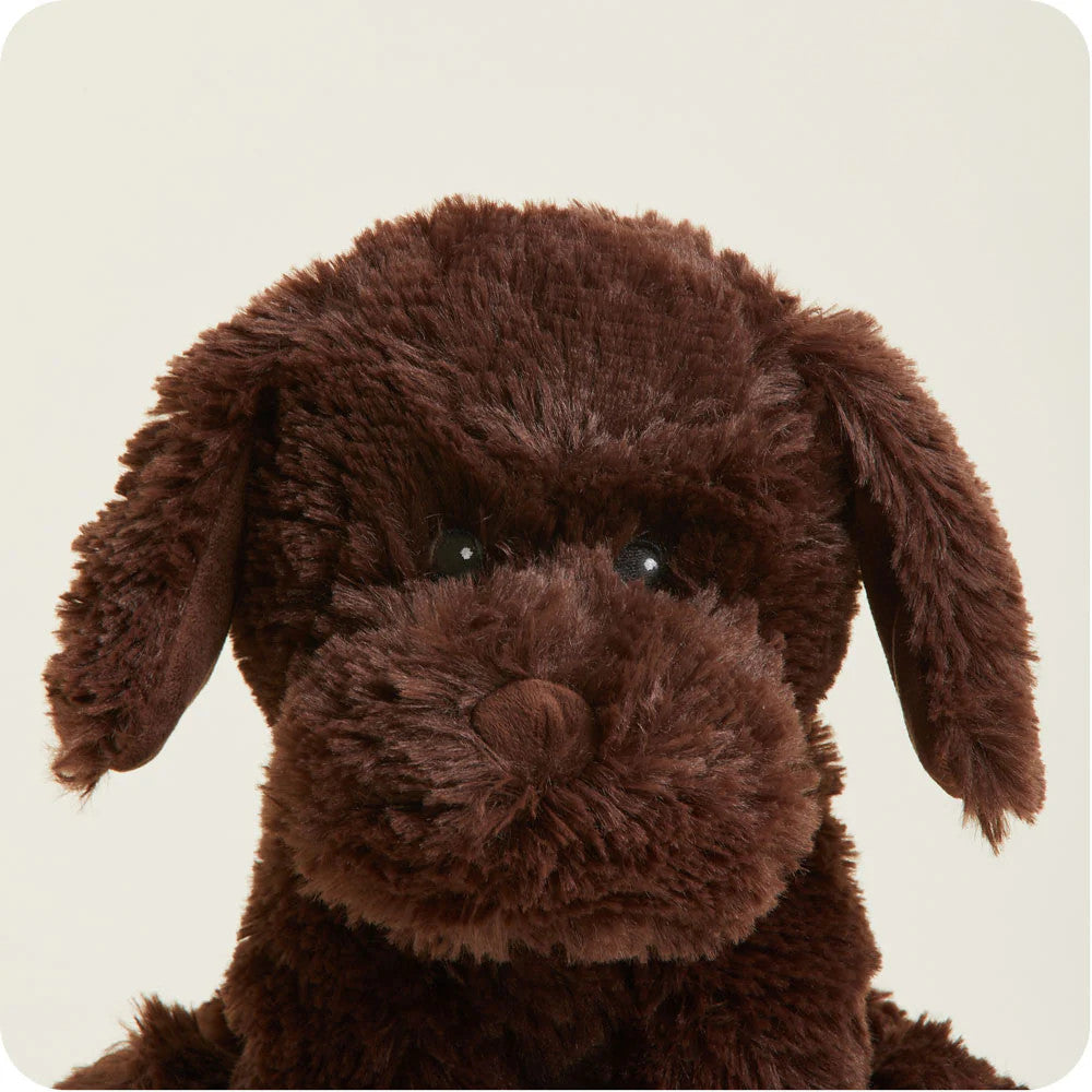 Warmies – Heatable Soft Toy – Chocolate Labrador - Mabel & Fox