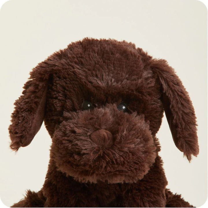 Warmies – Heatable Soft Toy – Chocolate Labrador - Mabel & Fox