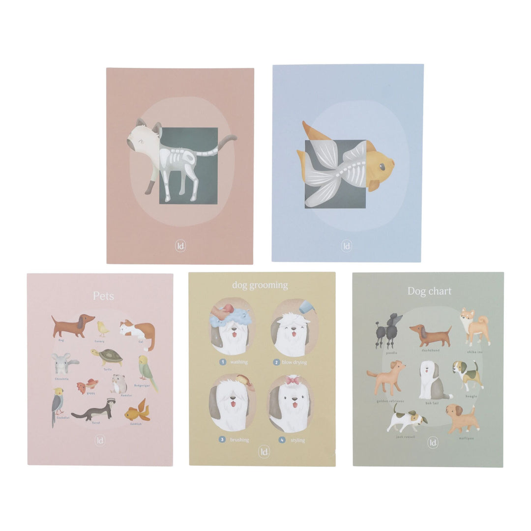 Little Dutch - Veterinary Practice