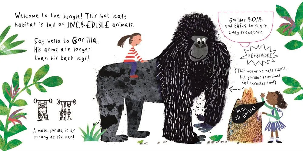 Hello, Mr Tiger! By Sam Boughton - Mabel & Fox