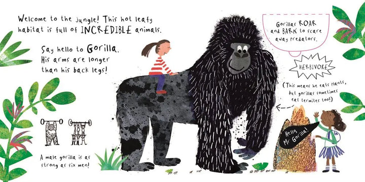 Hello, Mr Tiger! By Sam Boughton - Mabel & Fox