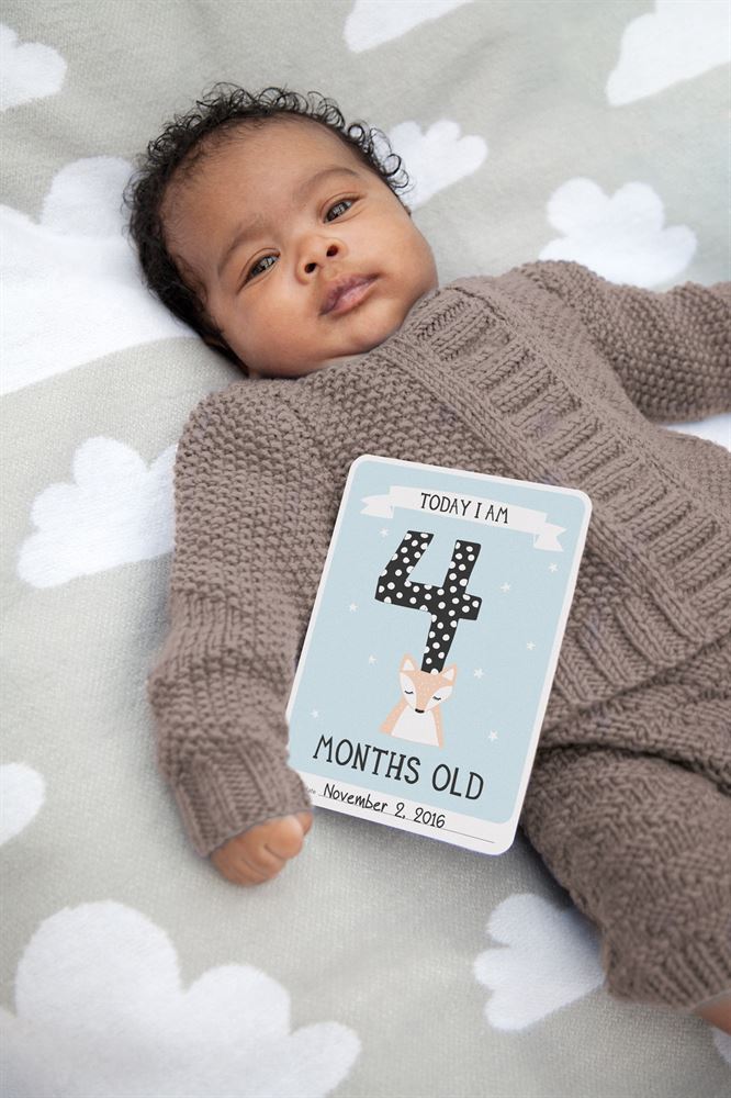 Milestone - Baby Photo Cards - Mabel & Fox